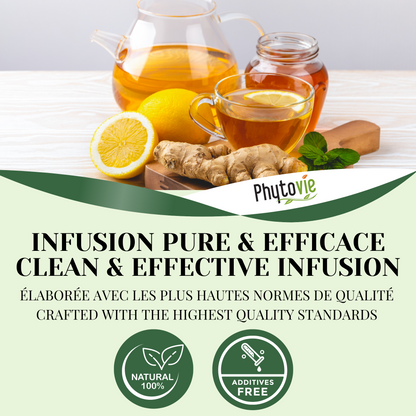 Thé vert citron gingembre | 25 Sachets