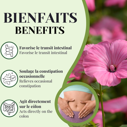 Malva | Laxatif | 90 capsules