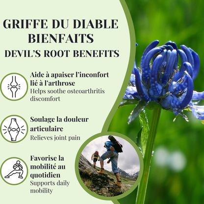 Griffe du diable | Douleur articulaire & Arthrose | 100 grammes