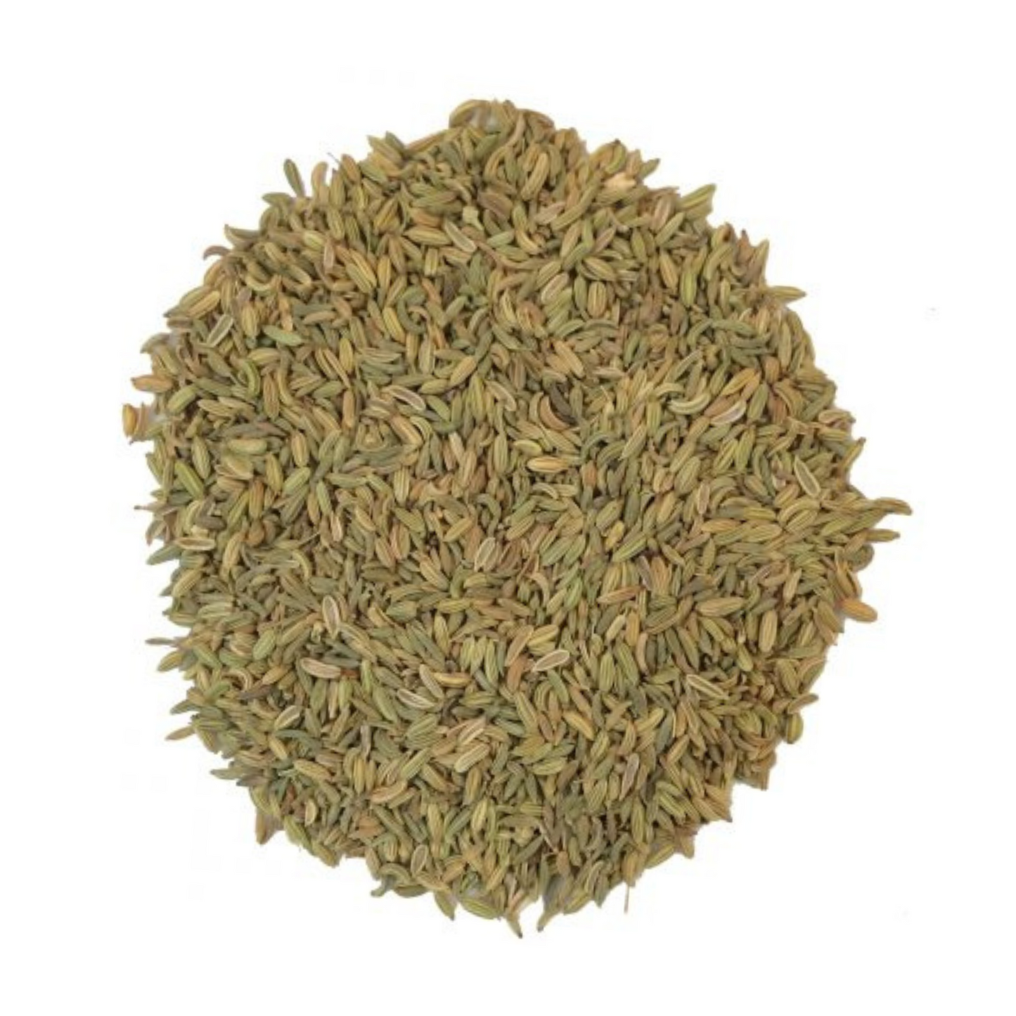 Fenouil doux semence | 1 KG