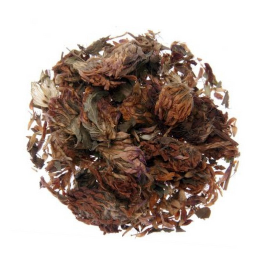 Trèfle rouge fleur | 1 KG