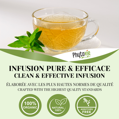 Lemon Verbena | 50 Sachets