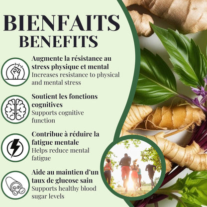 Image illustrant les bienfaits de la Tisane Énergie Phytovie : soutien du taux de glucose, résistance au stress, fonctions cognitives et réduction de la fatigue mentale.
