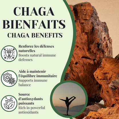 Chaga | Système immunitaire | 25 sachets