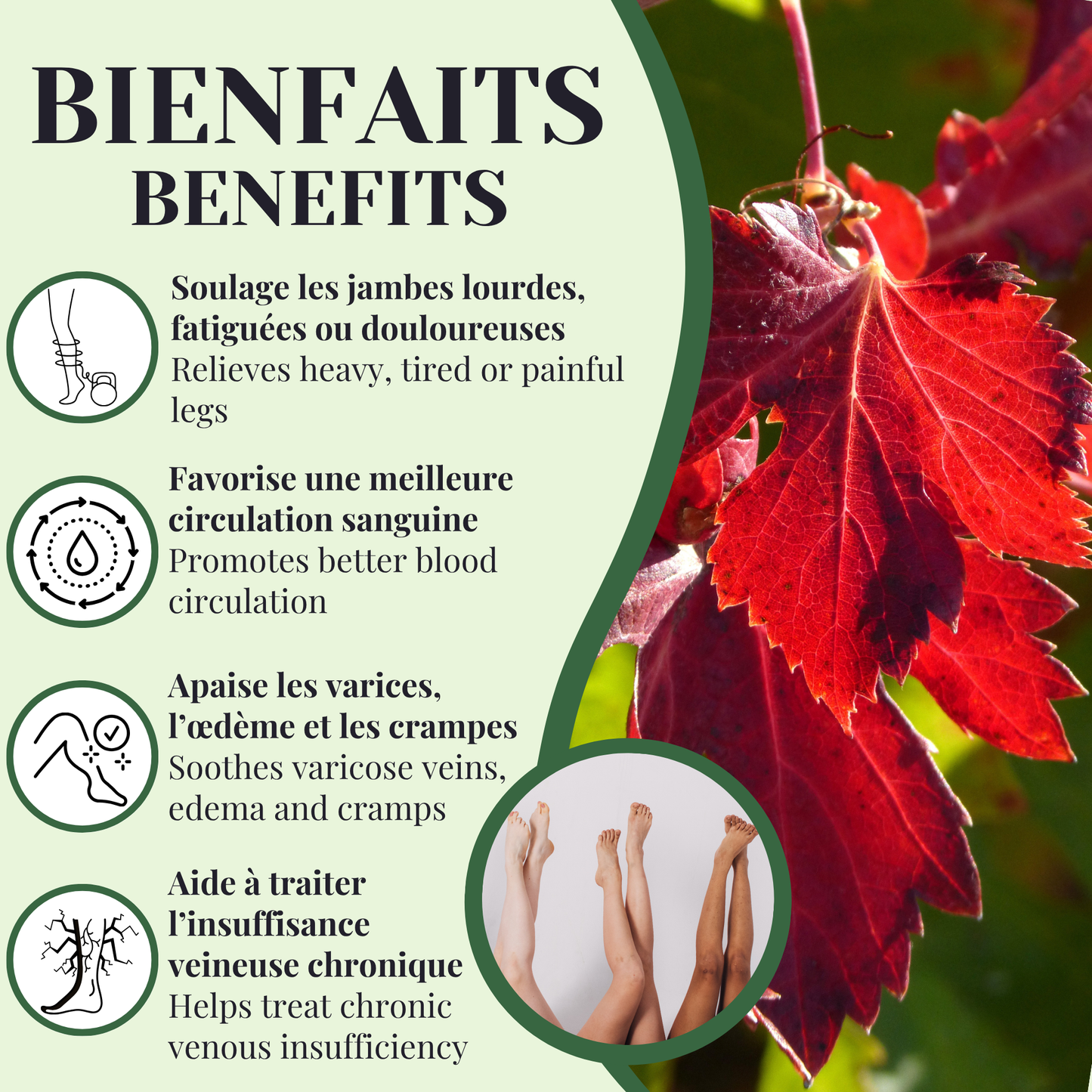 Organic Red Vine | Varicose Veins | 25 Bags