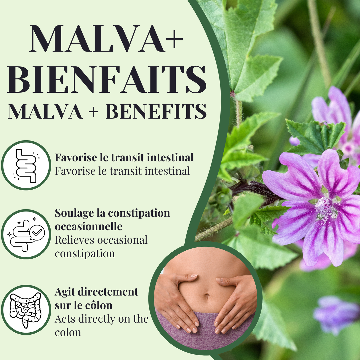 Malva + Séné | Laxatif | 50 Sachets