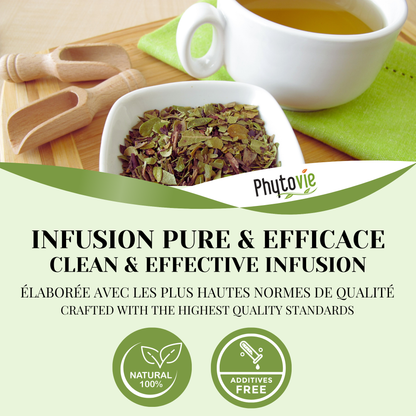 Busserole | Diurétique & infection urinaire | 100 grammes