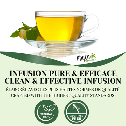 Sencha Green Tea | 25 Bags