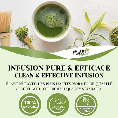 Matcha BIO | Énergie | 100 grammes