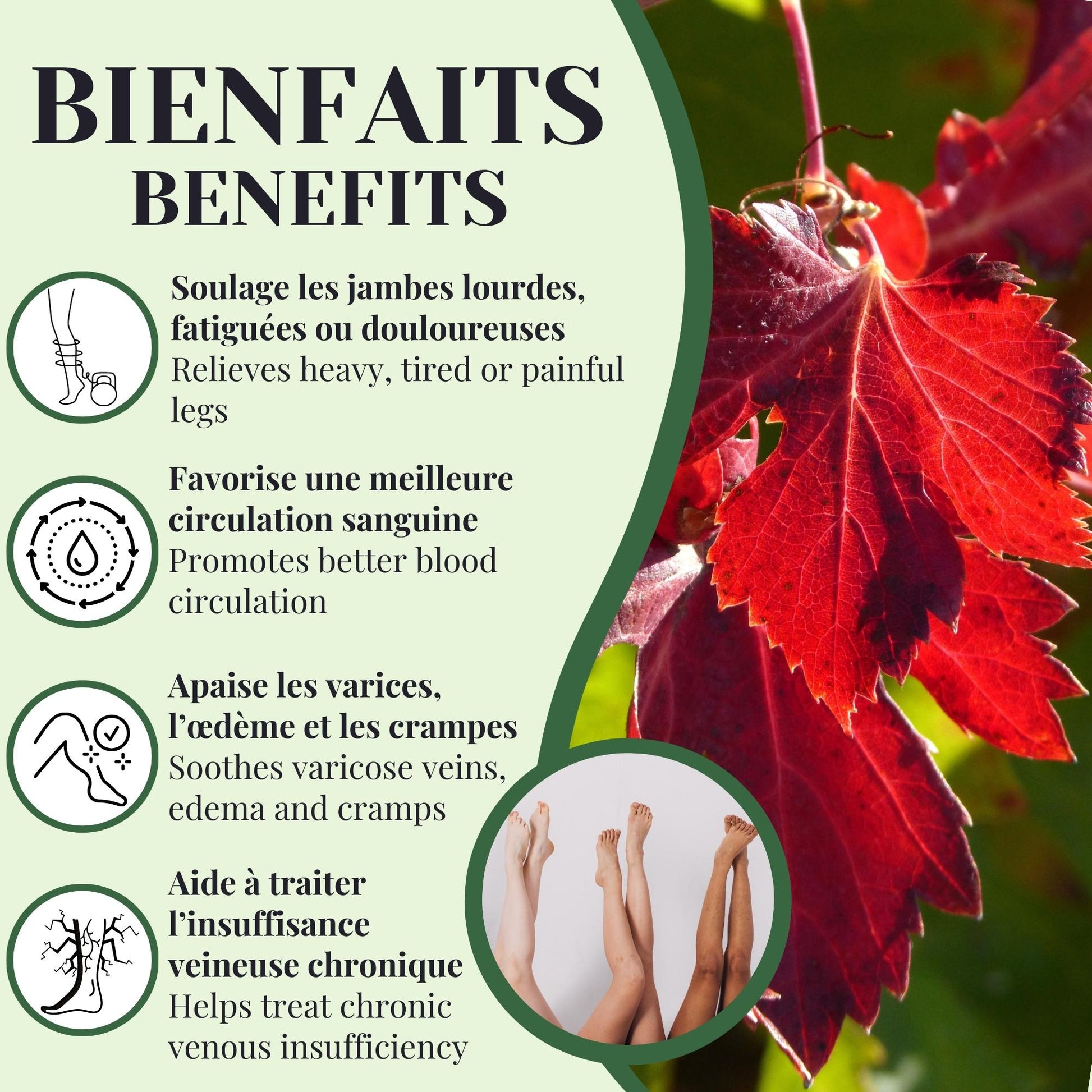 Bienfaits tisane Vigne rouge BIO PHYTOVIE pour jambes lourdes, douleurs et circulation