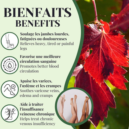 Bienfaits tisane Vigne rouge BIO PHYTOVIE pour jambes lourdes, douleurs et circulation