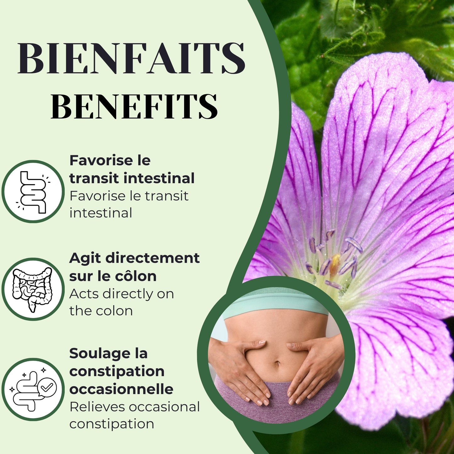 Malva | Laxatif | 90 capsules