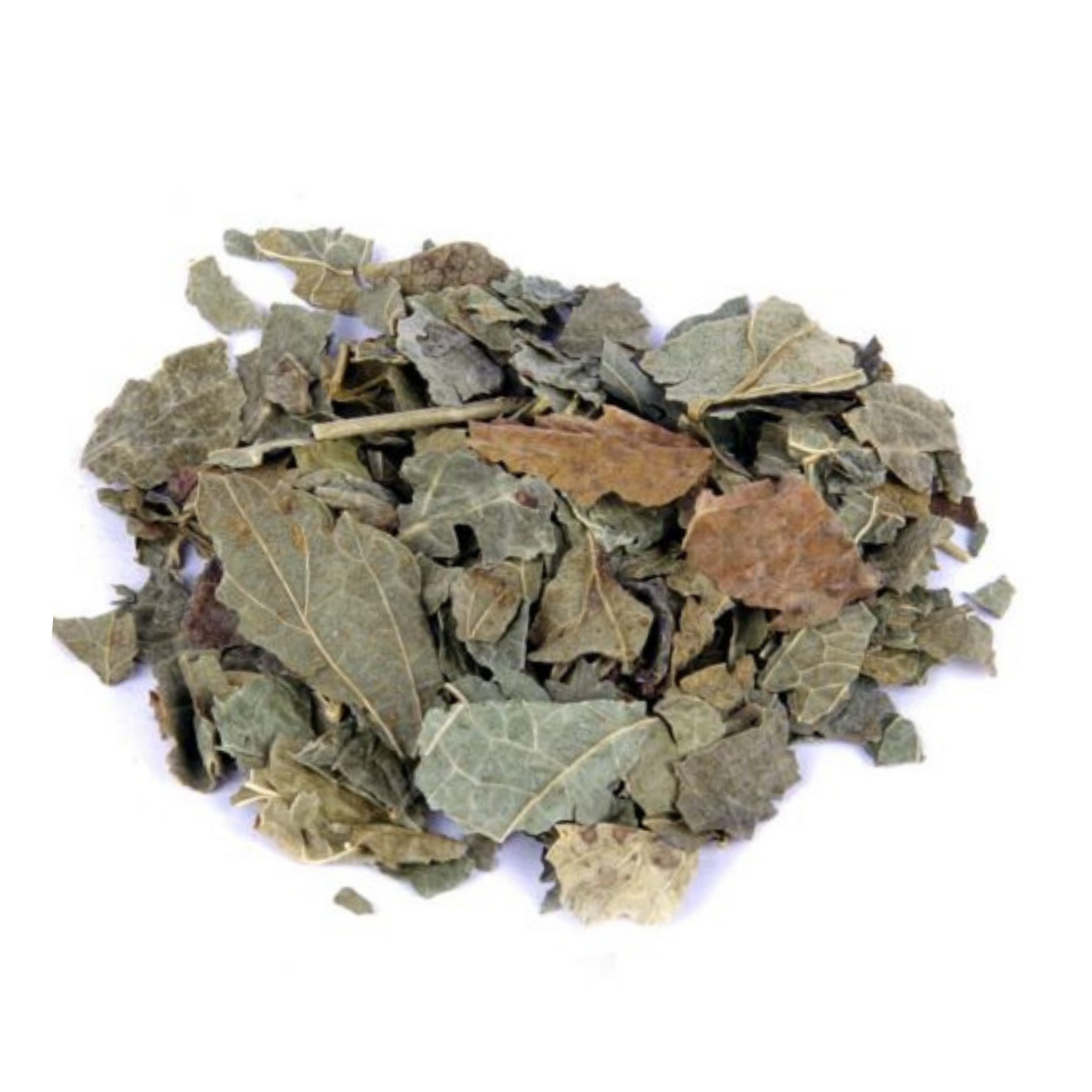 Cassis feuille | 1 KG