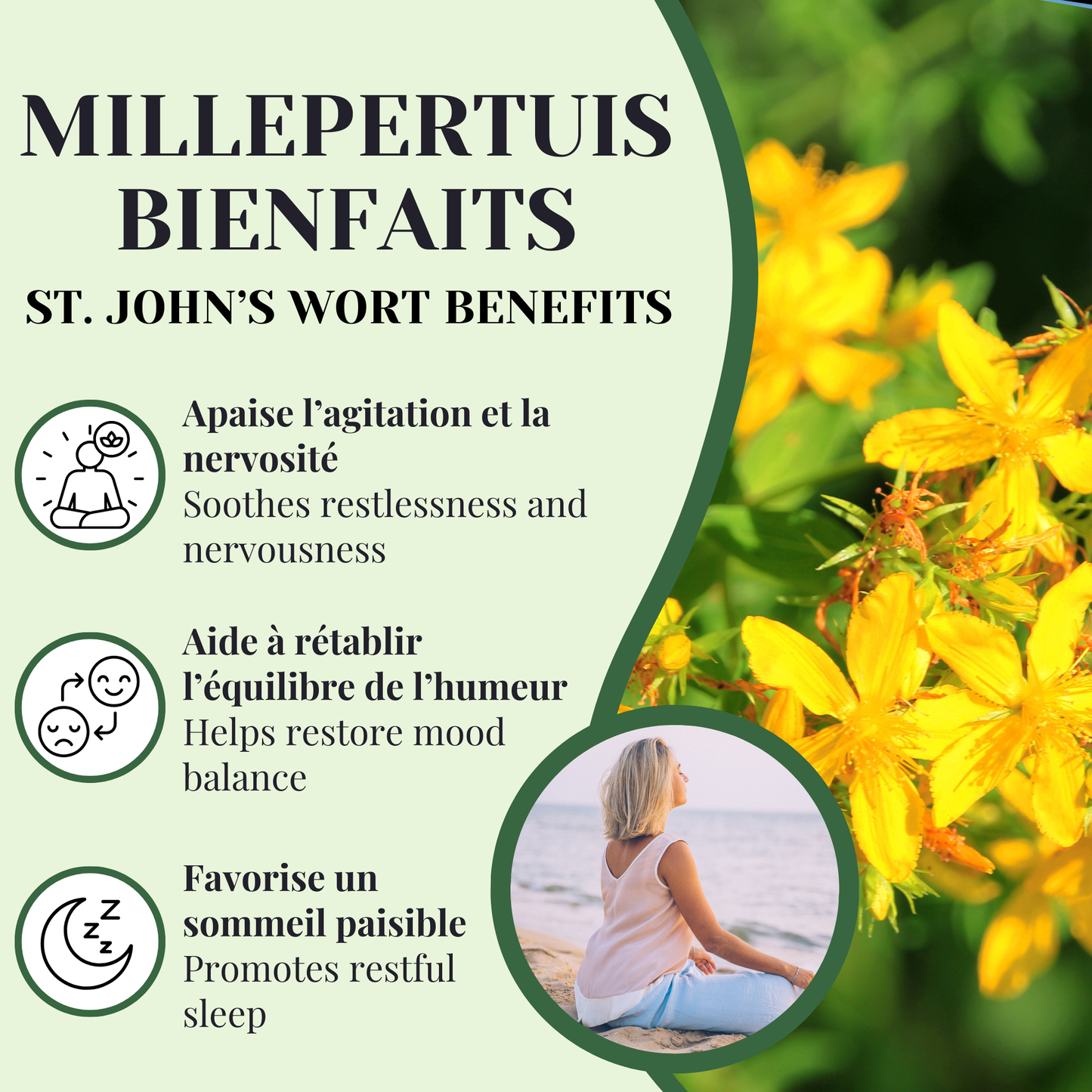 Millepertuis | Calmant | 25 Sachets