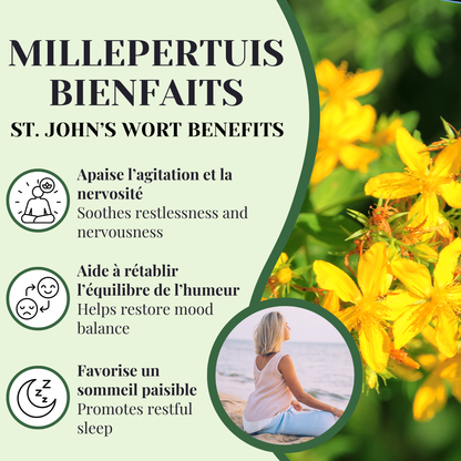 Millepertuis | Calmant | 25 Sachets