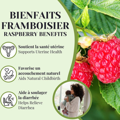 Raspberry | Uterine tonic | 50 grams