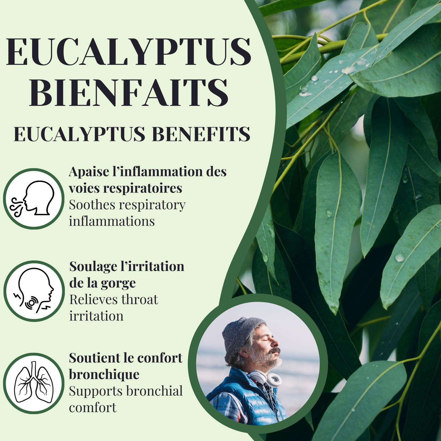 Eucalyptus BIO | Expectorant | 50 Sachets