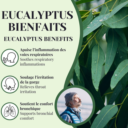 Eucalyptus BIO | Expectorant | 50 Sachets