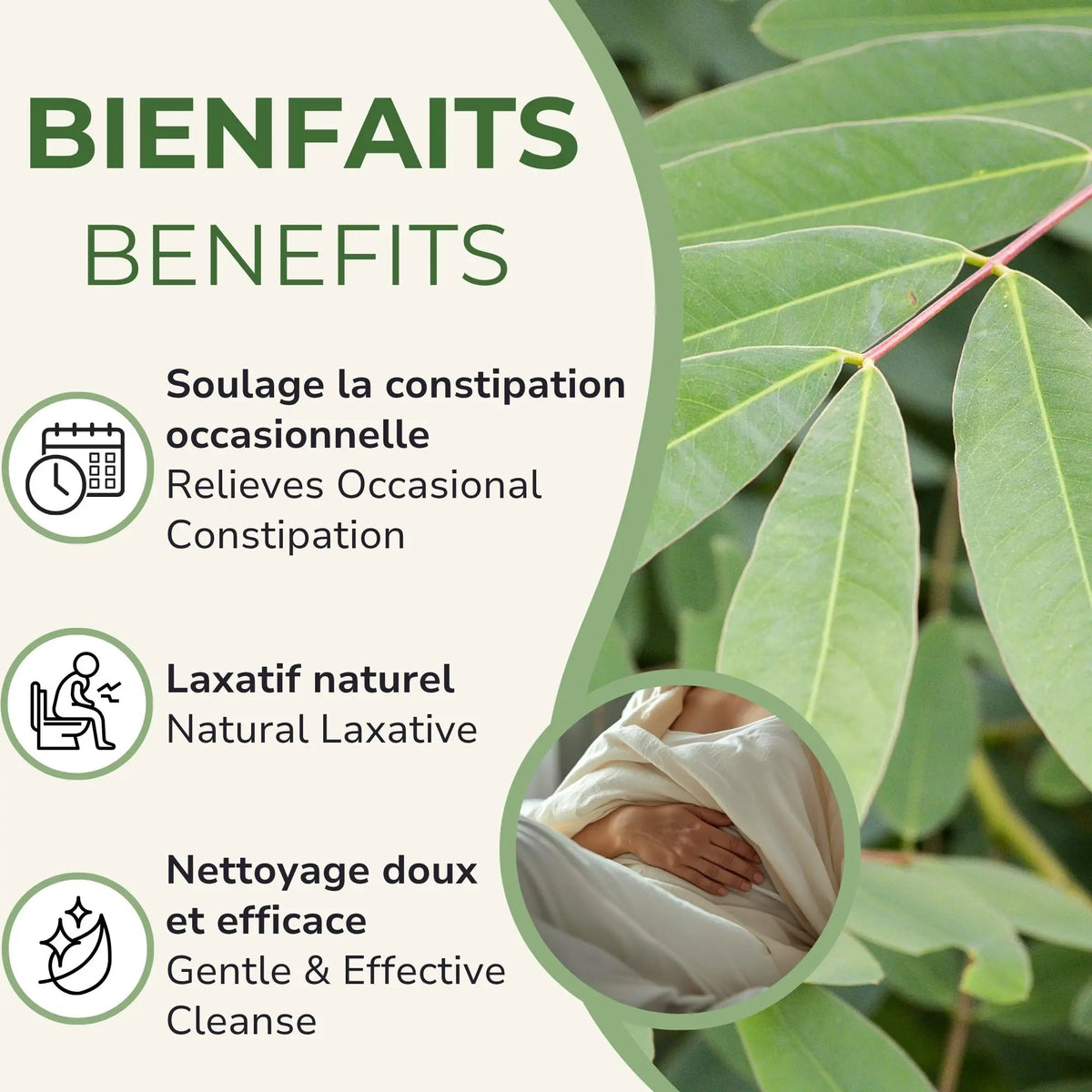 Bienfaits des capsules Séné BIO : soulage la constipation occasionnelle, laxatif naturel, nettoyage doux et efficace