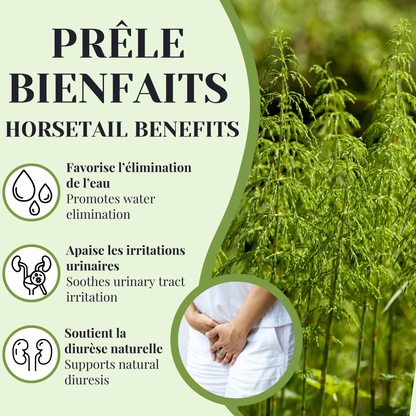 Prêle | Diurétique | 50 Sachets