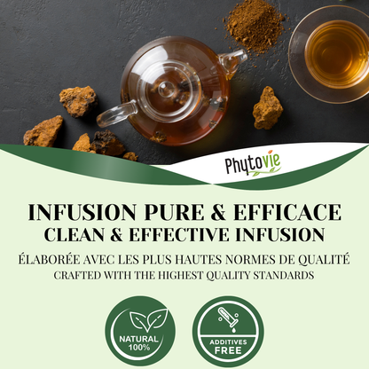 Chaga | Système immunitaire | 25 sachets