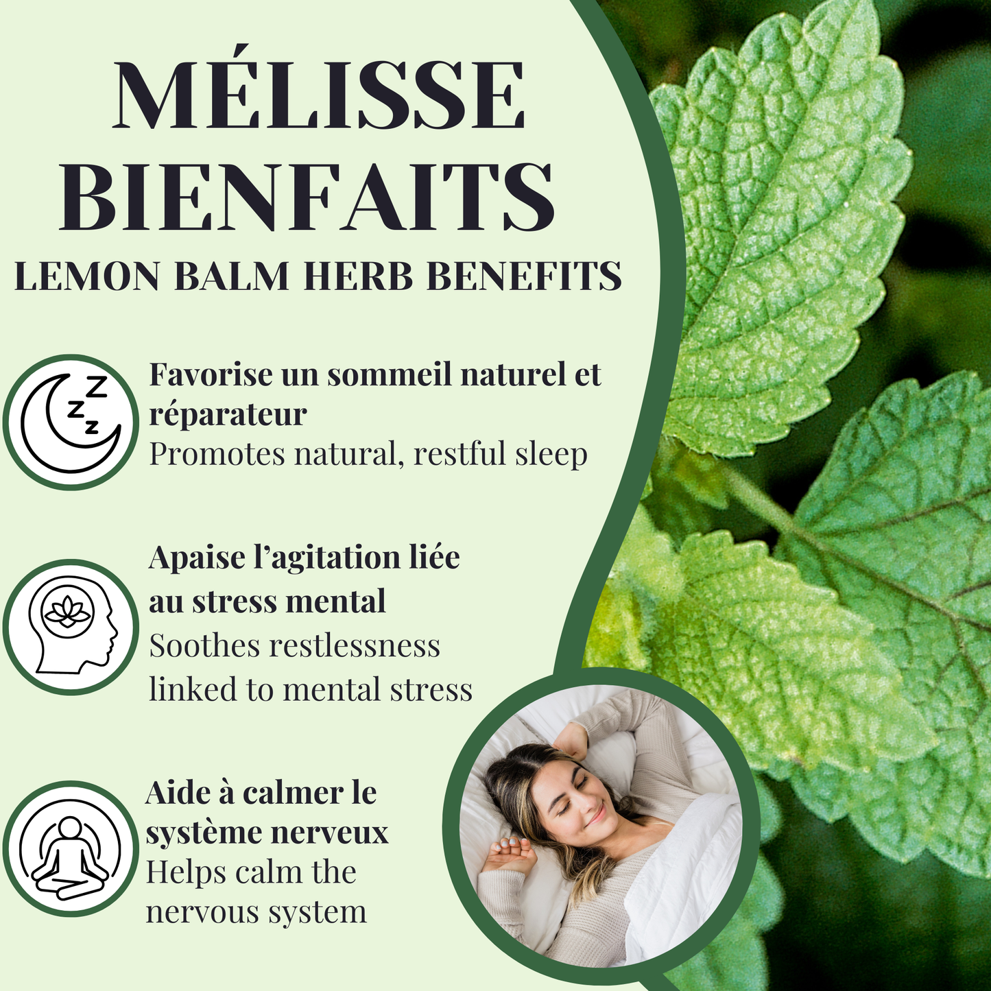 Mélisse | Sommeil & stress | 50 grammes