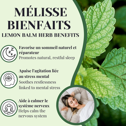 Mélisse | Sommeil & stress | 50 grammes