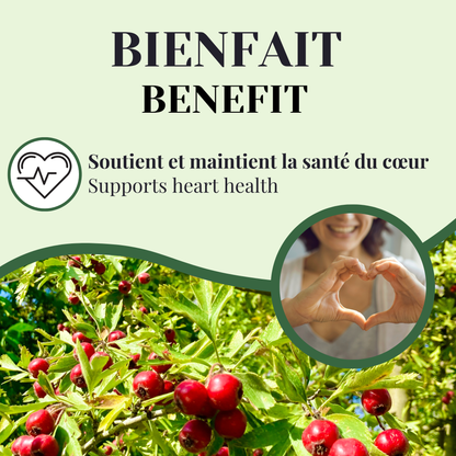 Aubépine | Santé cardiovasculaire | 75 grammes