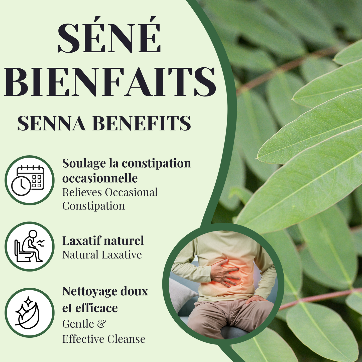 Organic Senna | Laxative | 25 sachets