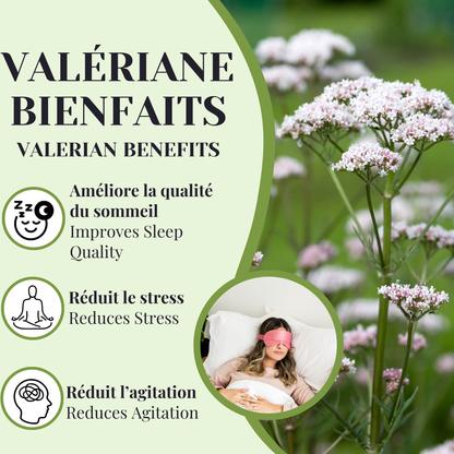 Valériane | Sédatif léger | 100 grammes