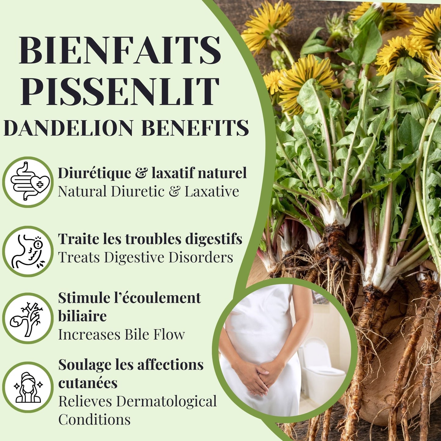 Dandelion Leaf | Diuretic & Digestive | 50 grams
