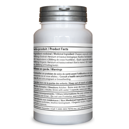 Hydne hérisson | Système immunitaire | 60 capsules