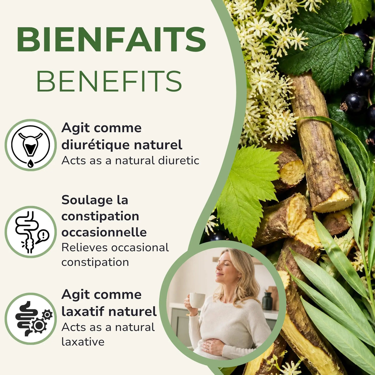Bienfaits de la tisane Élimination Phytovie — diurétique naturel, soulage la constipation occasionnelle, laxatif naturel