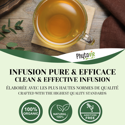 Eucalyptus BIO | Expectorant | 50 Sachets