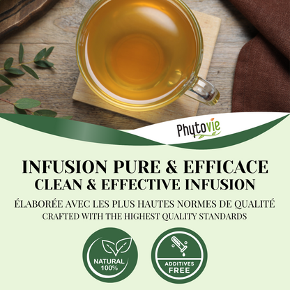 Eucalyptus feuille |Expectorant | 100 grammes