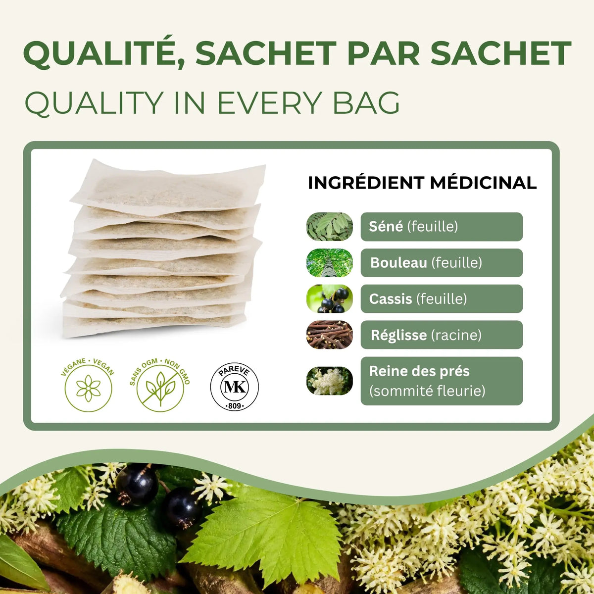Sachets de tisane Élimination Phytovie avec 5 ingrédients médicinaux — séné, bouleau, cassis, réglisse, reine des prés — végane, sans OGM