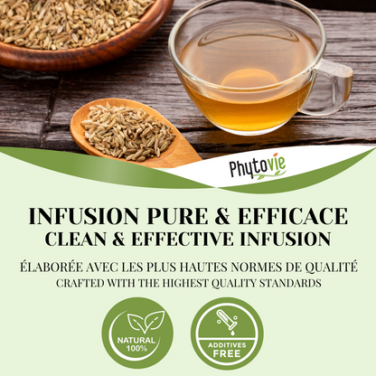 Sweet Fennel | Bloating & Flatulence | 100 grams