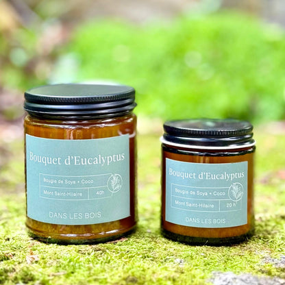 Bougies eucalyptus Dans les Bois 4 oz et 8 oz photographiées en nature, parfum frais et végétal