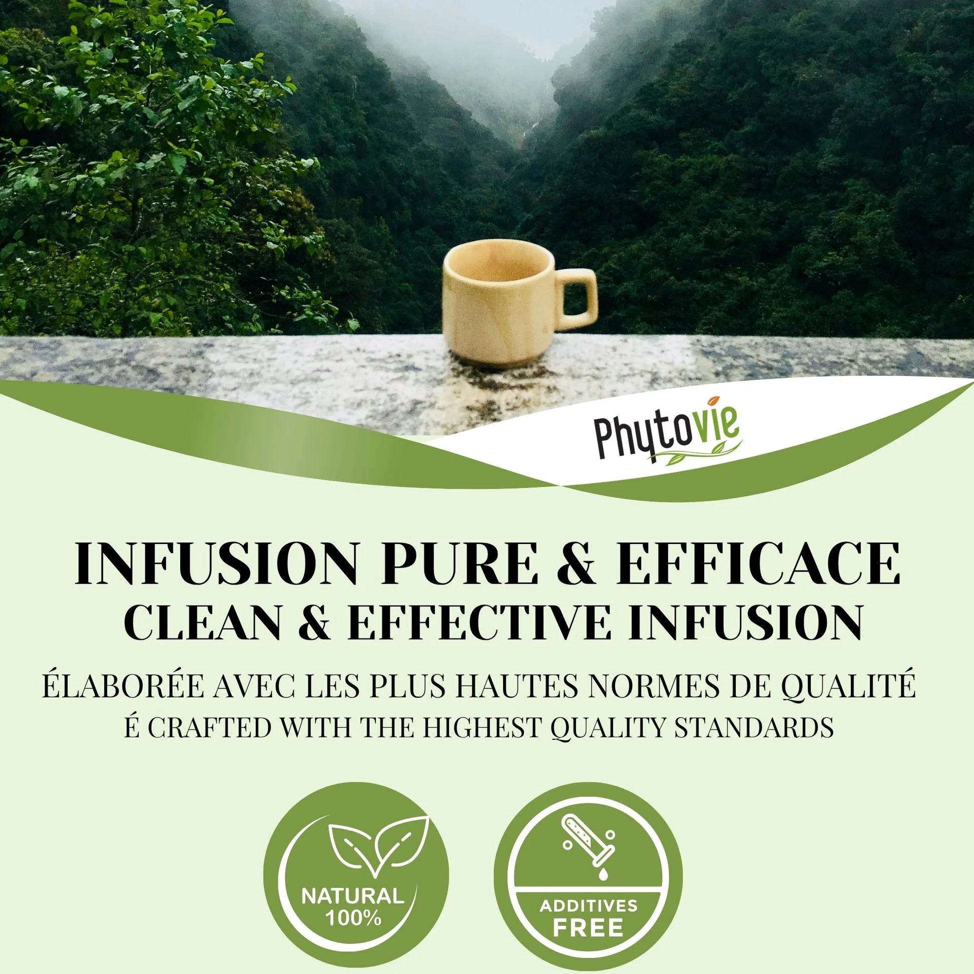 Tasse de tisane Détox illustrant une infusion pure, équilibrante et revitalisante, idéale pour soutenir le foie et retrouver légèreté