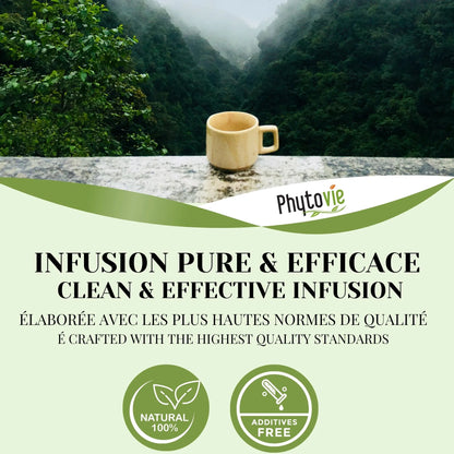 Tasse de tisane Détox illustrant une infusion pure, équilibrante et revitalisante, idéale pour soutenir le foie et retrouver légèreté