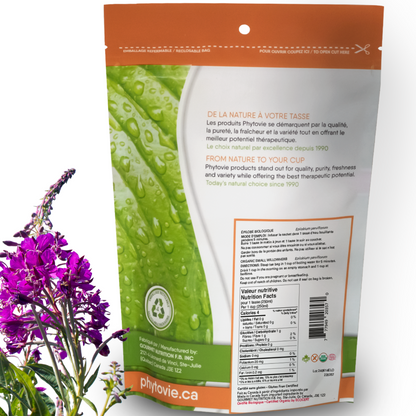 Épilobe à petites fleurs BIO | 25 sachets