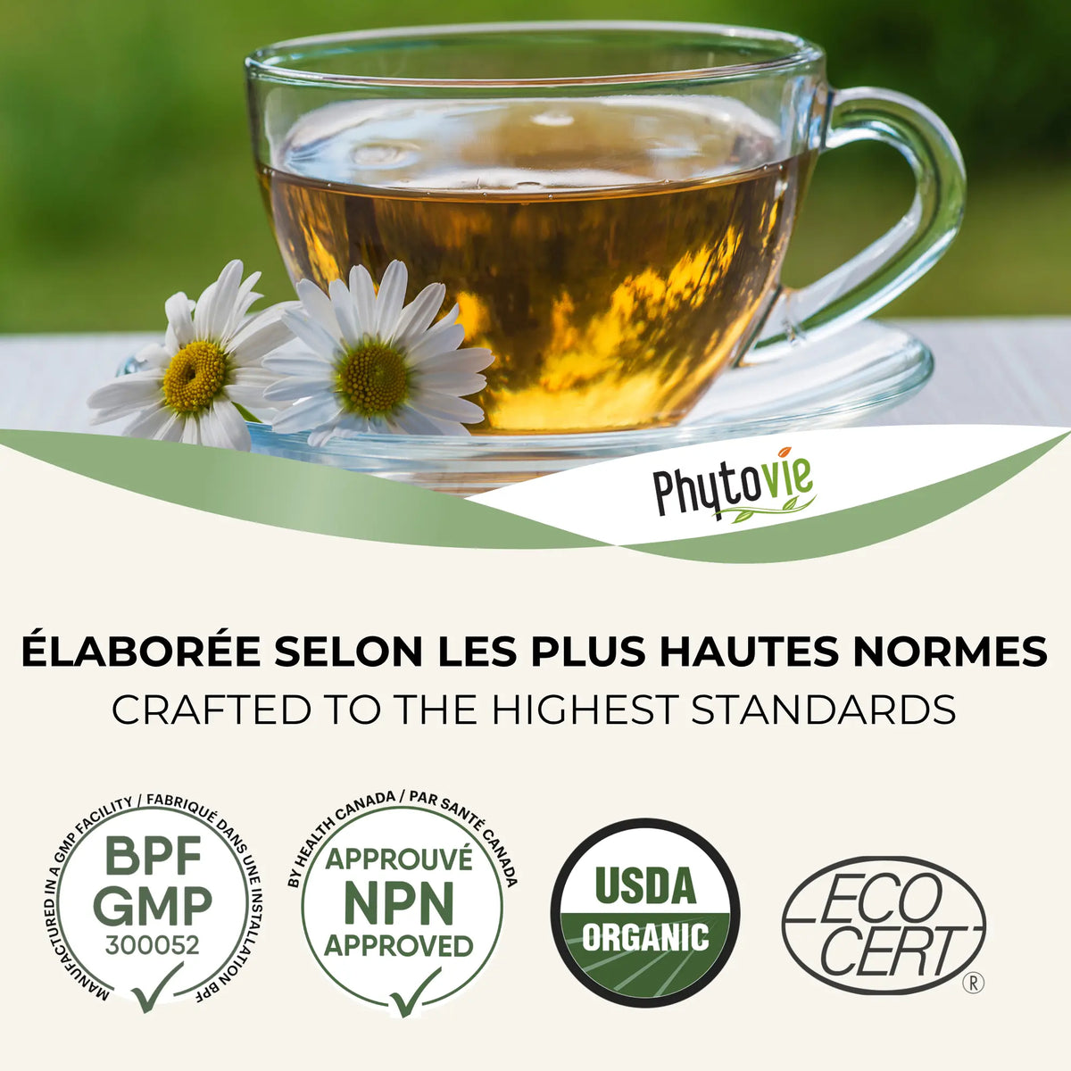 Tasse de tisane et fleurs de camomille; badges BPF, NPN, USDA Organic, Ecocert