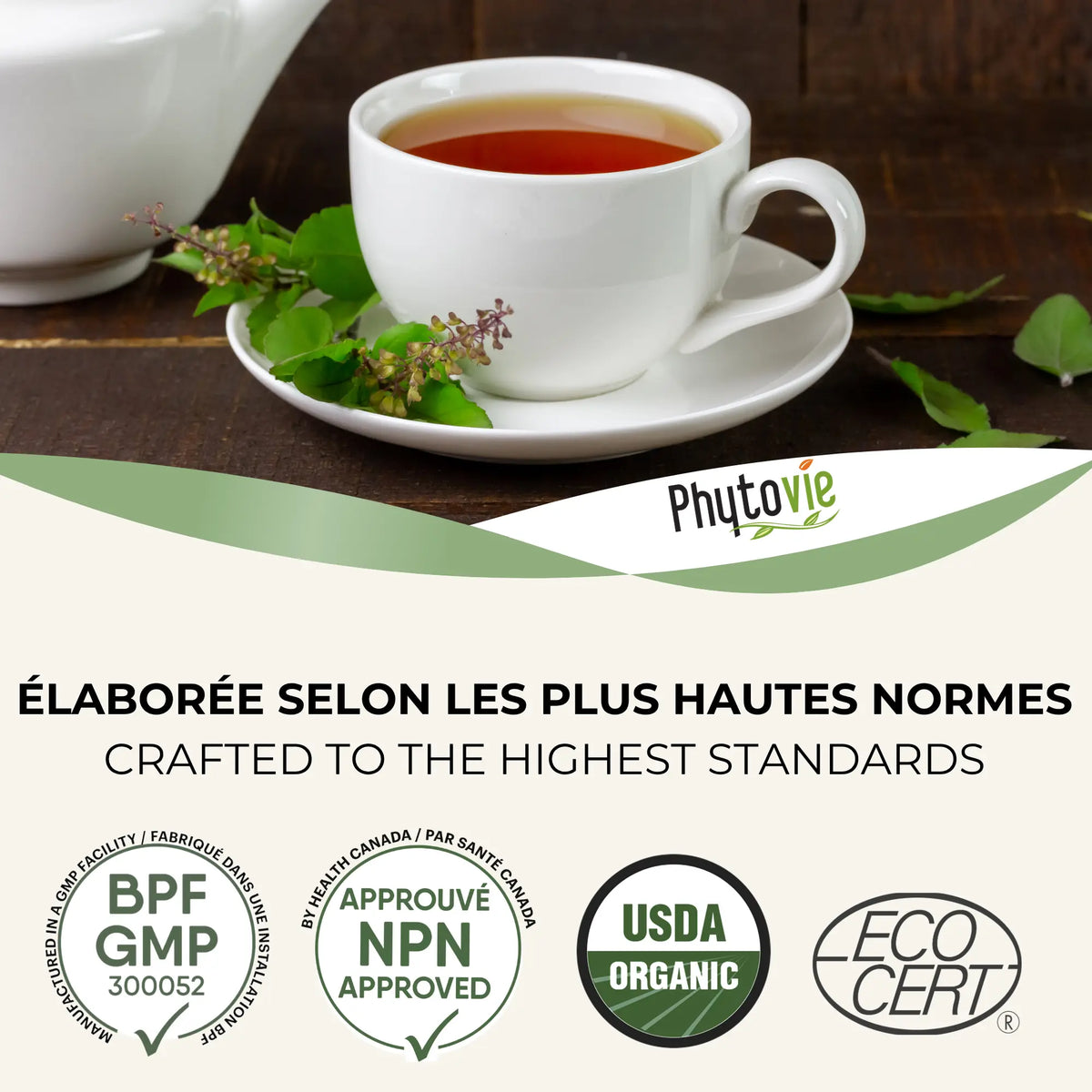 Tasse de tisane Basilic sacré Phytovie avec certifications NPN, USDA Organic et Ecocert