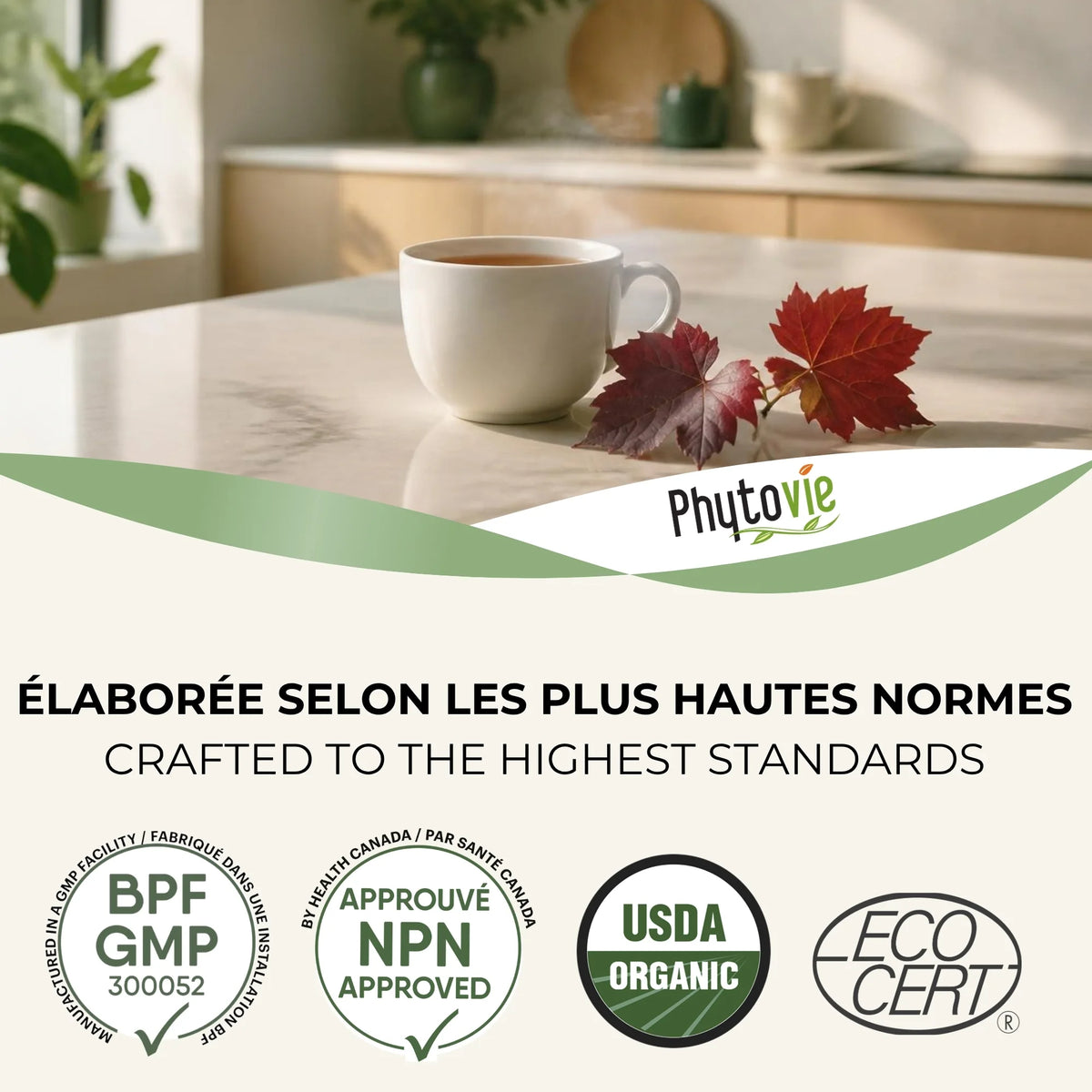 Tasse de tisane Vigne Rouge Phytovie avec feuilles de vigne, certifications NPN, USDA Organic et EcoCert