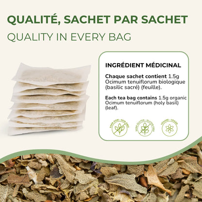 Sachets de tisane Basilic sacré Phytovie empilés, ingrédient médicinal Ocimum tenuiflorum biologique