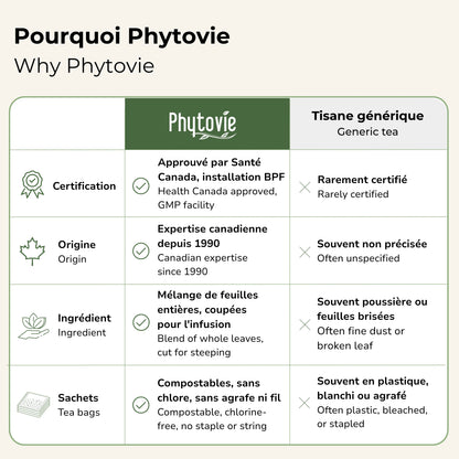 Comparatif Phytovie vs tisane générique : certification Santé Canada, origine, mélange de feuilles entières et sachets compostables