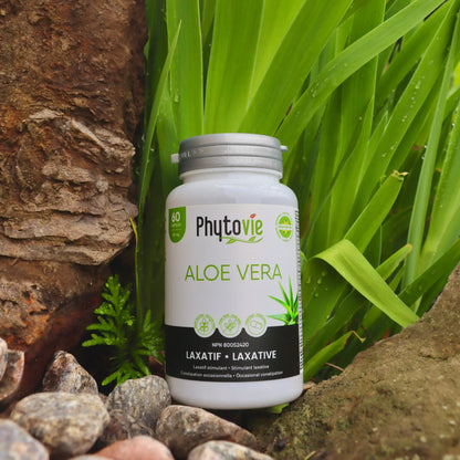 Flacon de capsules d’Aloe vera Phytovie présenté dans un décor naturel, solution végétale pour le confort digestif