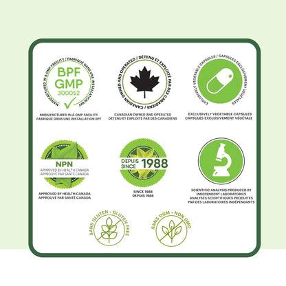 Certifications du supplément Radis noir Phytovie, fabrication GMP, approuvé par Santé Canada, capsules végétales, sans gluten et sans OGM