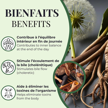 Bienfaits de la tisane Soir Détox Phytovie, favorise l’équilibre intérieur en fin de journée, stimule l’écoulement de la bile et aide à éliminer les toxines

