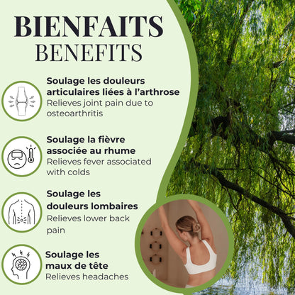 Bienfaits du saule Phytovie, aide à soulager les douleurs articulaires, les maux de tête, les douleurs lombaires et la fièvre associée au rhume